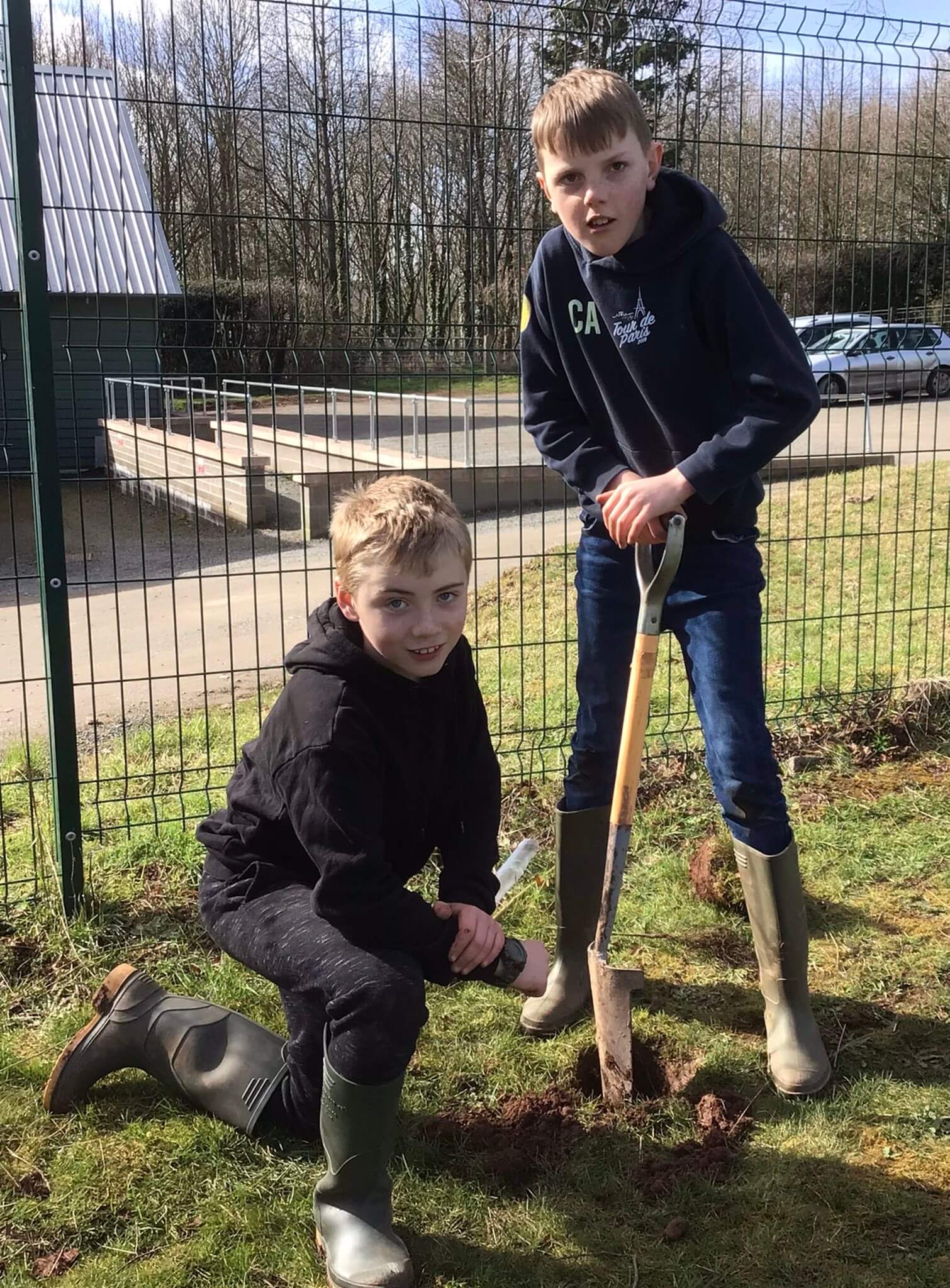 Willmott Dixon trees planting in school